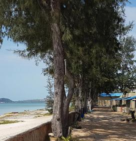 bungalows front de mer du complexe Palmeiras à Bilene - Mozambique donnant sur la plage
