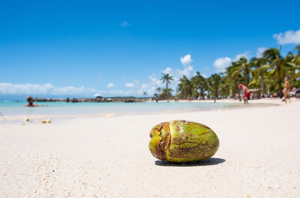 Image de Guadeloupe - Sainte Anne
