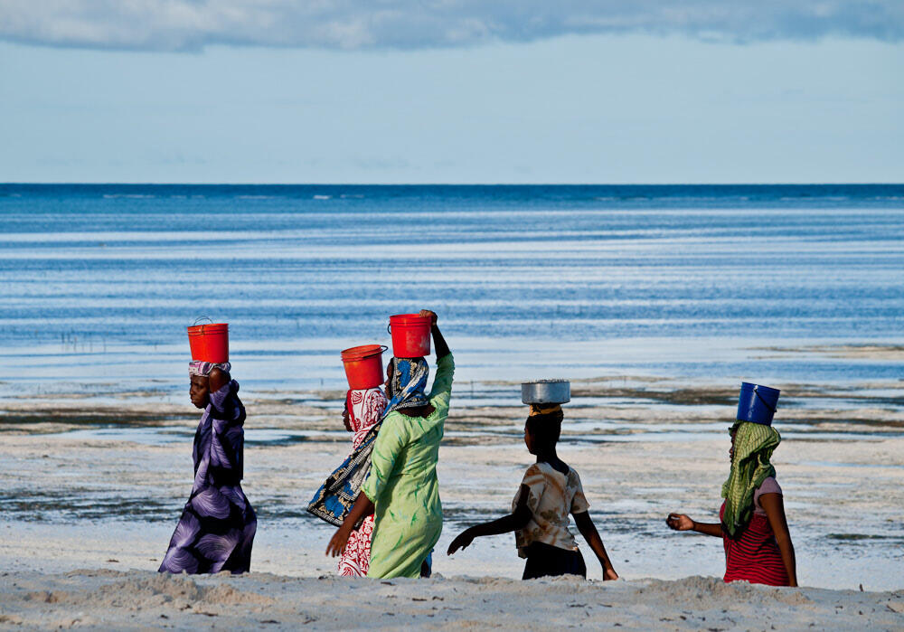 Image de Zanzibar - Paje